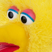 Load image into Gallery viewer, Big Bird Sesame Street Plush
