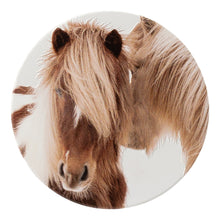 Load image into Gallery viewer, Horse Ceramic Coaster