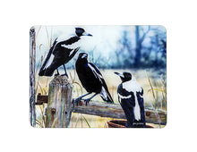 Load image into Gallery viewer, MAGPIE SURFACE SAVER