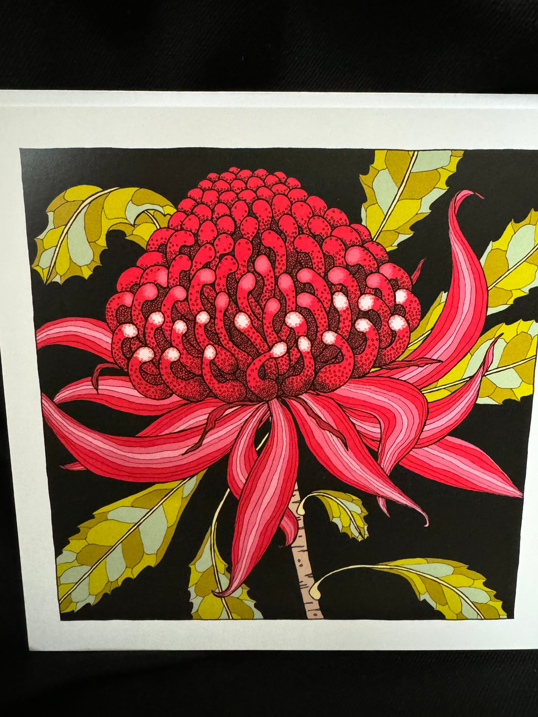 Australian Artist Cards - Waratah