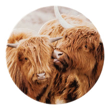 Load image into Gallery viewer, Highland Cows Ceramic Coaster
