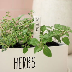 Oregano Ceramic Herb Pick