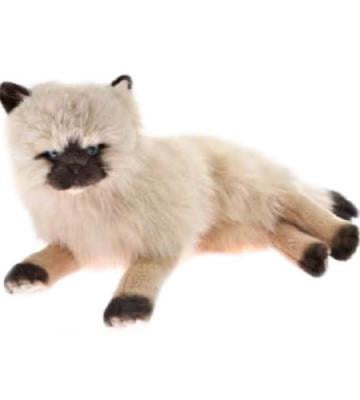 Plush Himalayan Cat