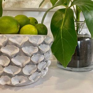 MODE OYSTER POTS/VASE