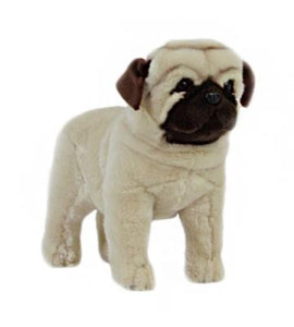 Plush Pug Dog