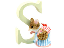 Load image into Gallery viewer, Beatrix Potter Peter Rabbit Letters
