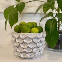 Load image into Gallery viewer, MODE OYSTER POTS/VASE
