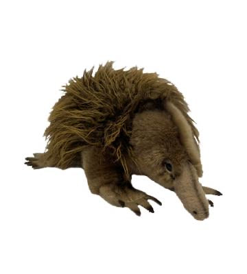 Plush Echidna
