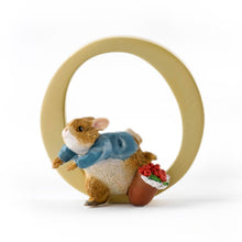 Load image into Gallery viewer, Beatrix Potter Peter Rabbit Letters
